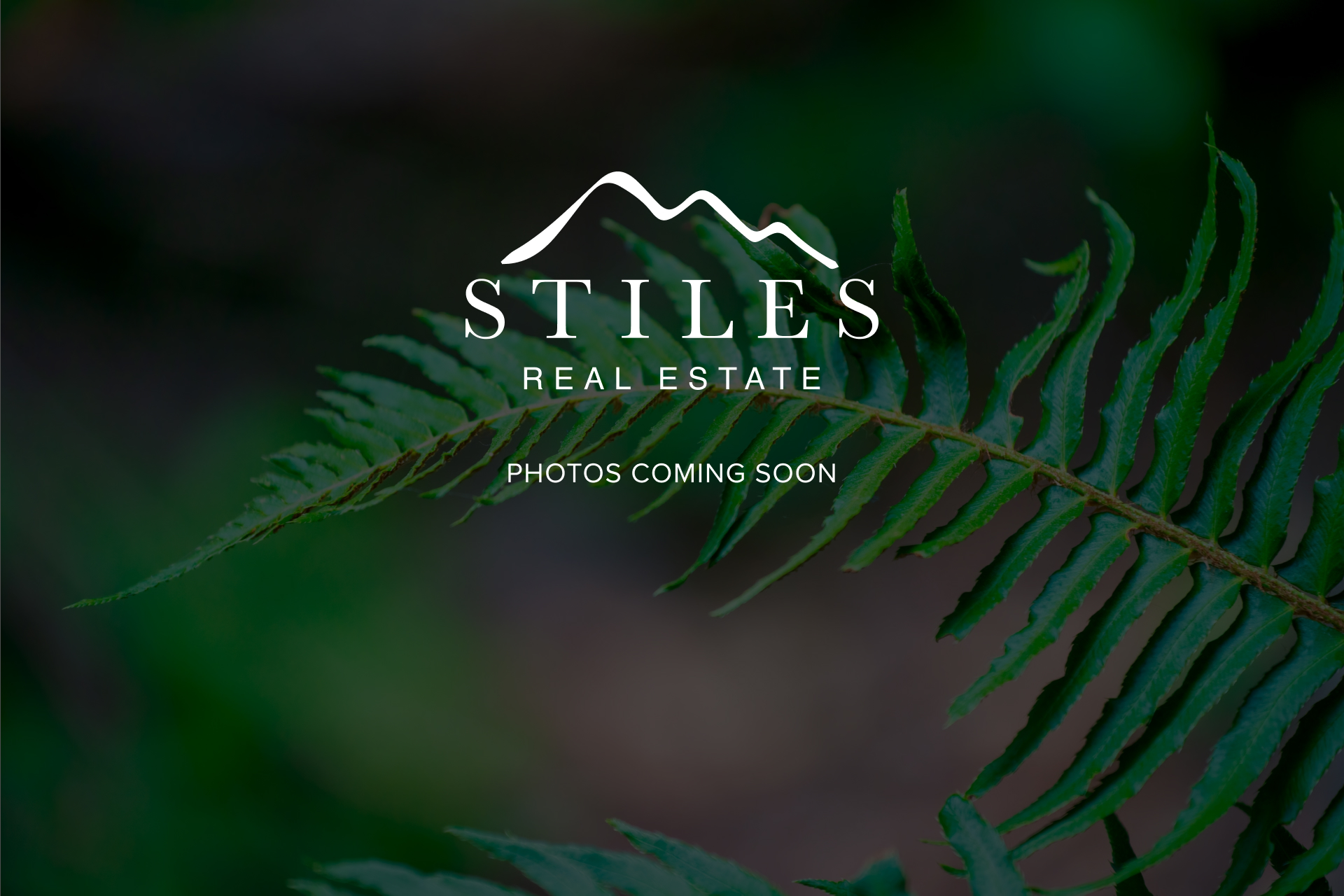 54 - 912 Premier Street, Lynnmour, North Vancouver 2